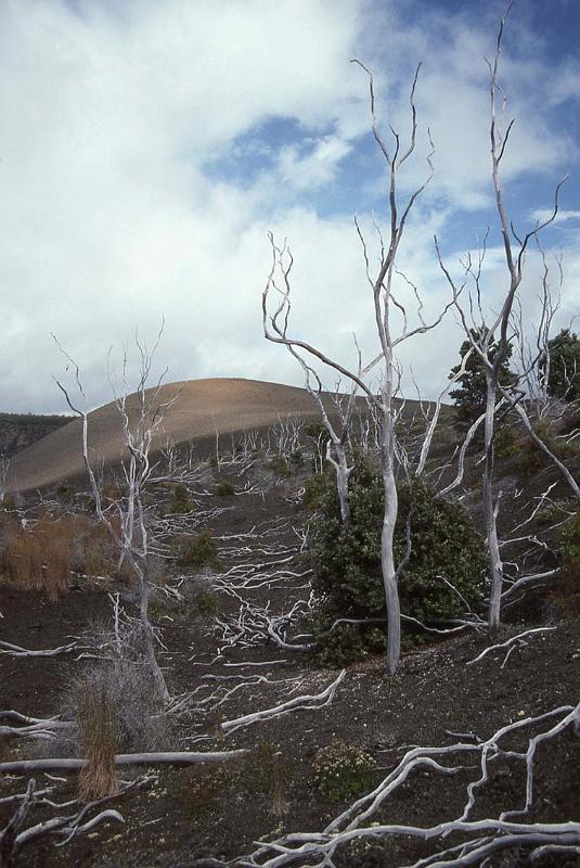 RWT 0014 002-36 Hawaii Kilauea.jpg